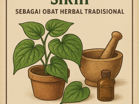 Khasiat Daun Sirih sebagai Obat Herbal Tradisional