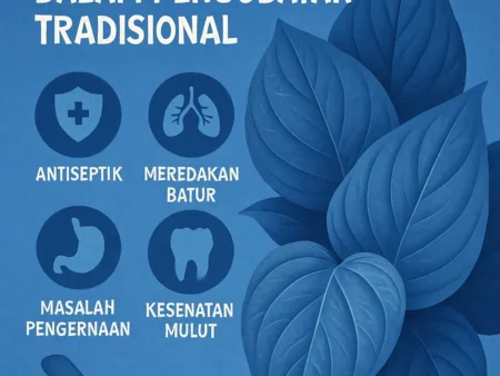 Manfaat Daun Sirih dalam Pengobatan Tradisional